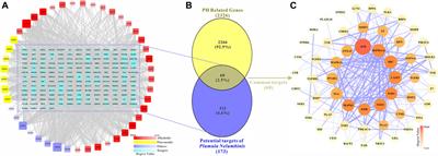 Evaluating the therapeutic role of selected active compounds in Plumula Nelumbinis on pulmonary hypertension via network pharmacology and experimental analysis